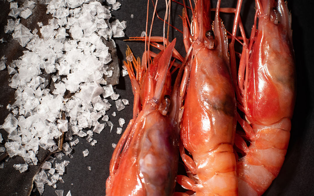 La importancia de elegir mariscos frescos para tu paella de marisco